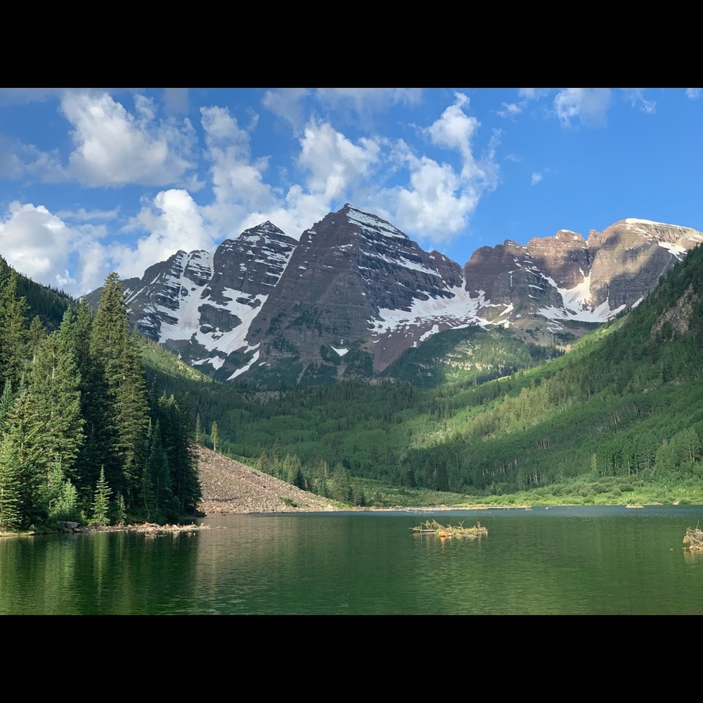 Meet your Posher, Michelle